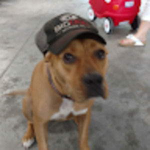 Meet your Posher, Scotty